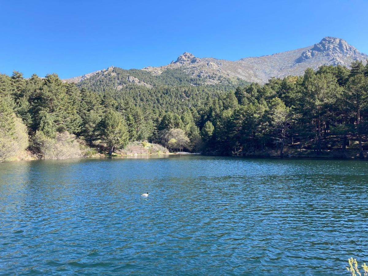 Los Cedros, Gran Chalet Con Piscina Y Apartamento En ナバセラダ エクステリア 写真